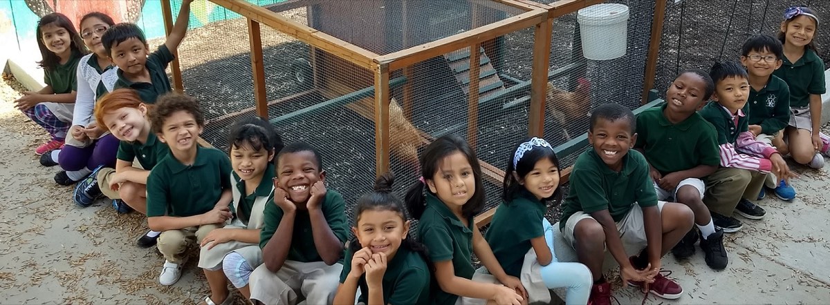 Students visiting the school chicken coop